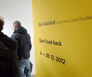 6.12.2012. IZLOŽBA/ beli sladoled ~  ljubljana