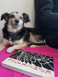 STRIP ALBUM KOMIKAZE BROJ 20 _BOSKA