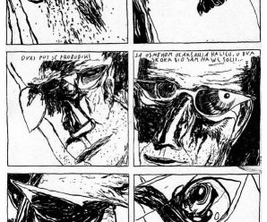 9 – aleksandar opačić